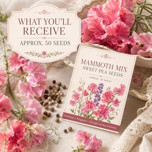 Premium seed packet containing approximately 50 Mammoth Mix Sweet Pea seeds beside colorful sweet pea flowers.