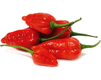 25 Ghost Pepper Seeds Bhut Jolokia Non-GMO Super Hot Chili Pepper Capsicum chinense Seeds