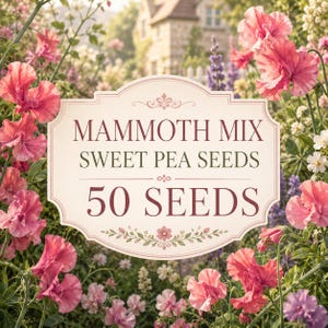 Mammoth Mix Sweet Pea Seeds thumbnail surrounded by colorful fragrant climbing flowers with centered text showing 50 seeds.