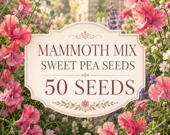 Mammoth Mix Sweet Pea Seeds, 50 Fragrant Climbing Flowers, Cottage Garden Cut Flower