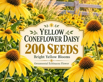 200 Yellow Coneflower Daisy Seeds, Bright Echinacea Flower, Pollinator Garden Ornamental