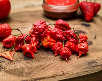 100 nasion papryczki chili Carolina Reaper Super Hot Red Chili Peppers Capsicum chinense Garden