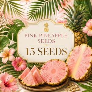 Semi di ananas rosa, 15 semi, rara pianta ornamentale tropicale da frutto, ideale per la coltivazione in giardino.