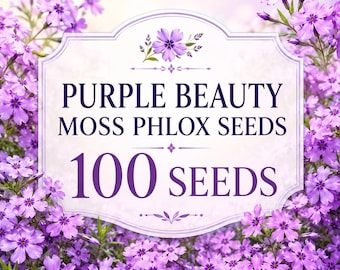 Purple Beauty Moss Phlox Seeds, 100 Seeds, Creeping Ground Cover, Rock Garden Perennial Flowers
