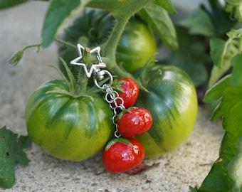 Llavero de tomate hecho a mano: accesorio de arcilla de resina epoxi con temática de jardín.