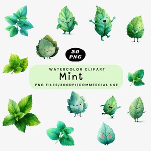 May include: A collection of watercolour clipart images of green mint leaves and animated leaf characters with smiling faces. The image includes the text "Mint" and "20 PNG" with the words "Watercolor Clipart" and "PNG Files/300DPI/Commercial Use".