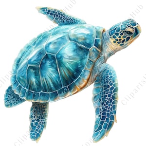 May include: A watercolour illustration of a sea turtle in shades of blue and teal. The turtle's shell has a detailed pattern, and its flippers are outstretched. The artwork has a realistic style, suitable for ocean-themed decor.