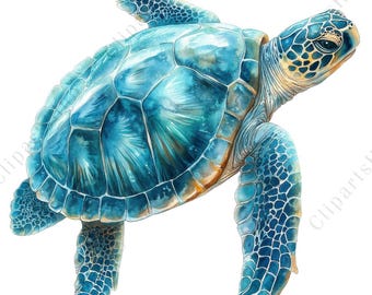 20 Watercolor Sea Turtle Clipart, Ocean Turtle PNG Bundle, Marine Animal Illustration, Coastal Beach Art, Scrapbook, High-Quality PNG Set