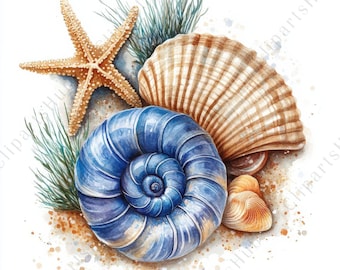 14 Seashell Clipart Bundle, Watercolor Seashell Pack, Beach Ocean Shells Art, Coastal Decor Clip Art, Scrapbooking, High Quality JPG Artwork