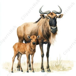 Puede incluir: Ilustración en acuarela de una madre ñu y su cría. El ñu adulto tiene un pelaje marrón, una melena negra y cuernos curvos. La cría es de un tono marrón más claro. El fondo es blanco con hierba escasa.