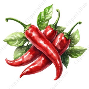 Può includere: Illustrazione ad acquerello di tre peperoncini rossi vibranti con steli e foglie verdi. I peperoncini sono disposti a grappolo, con alcuni sovrapposti. Le foglie sono di un verde lussureggiante e i peperoncini hanno una finitura lucida.
