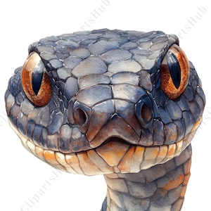 May include: A watercolour painting of a snake's head, showing a detailed close-up. The snake has a blue-grey body with textured scales and striking orange eyes. The artwork captures the snake's facial features and scales.