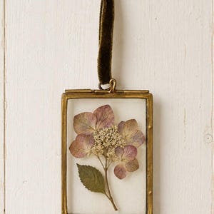 May include: A rectangular brass frame with clear glass panels containing a single pressed hydrangea flower with muted purple petals and a green leaf. The frame hangs from a dark olive green velvet ribbon tied in a simple loop at the top.