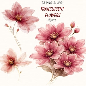 Dusty Rose Translucent Flowers Clipart PNG, Abstract Elegant Watercolor Floral Elements, Wedding Spring Graphics, 12 PNG&JPG