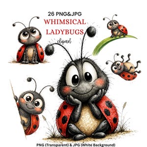 Skurrile Marienkäfer Clipart, Illustrationen, Märchenbuch Insekten, Kinderzimmer Dekor, Kinder Grafiken (Digitaler Download-26 PNG JPG)