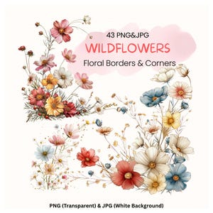 Vildblomma Clipart PNG-paket, blommiga kanter, hörn, akvarellblomma, bröllopsdekor, botanisk set - digital nedladdning - 43 PNG JPG