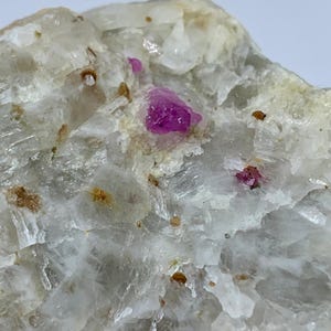 May include: Close-up of a rough, light-colored mineral specimen with embedded, vibrant pink ruby crystals. The mineral has a crystalline structure with small, brown inclusions.
