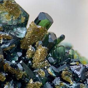 May include: Close-up of a cluster of dark green tourmaline crystals with a glassy luster. The crystals are interspersed with golden-brown mineral formations, creating a striking contrast. The composition showcases natural mineral formations.