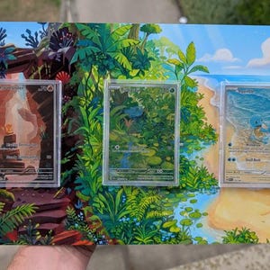 Op de afbeelding: Een rechthoekig displaybord met een levendige, doorlopende illustratie van een grot, bos en strandlandschap. Drie doorzichtige plastic hoesjes zijn op het bord gemonteerd, elk met een verzamelkaart van Charmander, Bulbasaur en Squirtle.