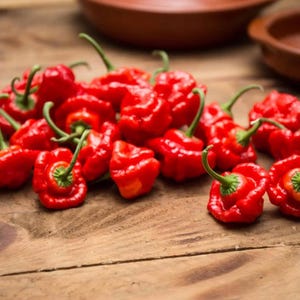 May include: A pile of bright red, wrinkled Scotch Bonnet peppers with green stems. Each pepper has a distinct, squat, and lobed shape with a glossy skin texture. The peppers are clustered together, showcasing their vibrant color and irregular, rounded forms.