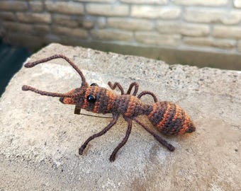 Realistic Crochet Ant Brooch – Handmade Insect Jewelry, Nature Inspired Gift, Unique Bug Accessory