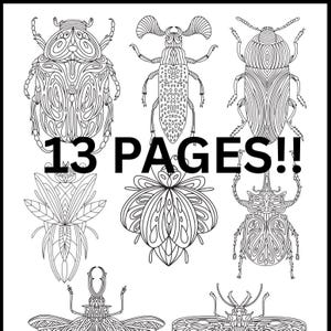 Bug & Beetle Coloring Book | Printable Digital Download | Fun Insect Pages for Kids