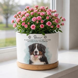 May include: A white ceramic planter with a wooden base containing a blooming pink rose bush. The planter features a portrait of a Bernese Mountain Dog, the name Bear, and the text: If love alone could have kept you here you would have lived forever.