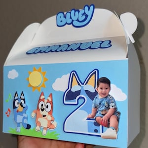 bluey party favor boxes 12 pack