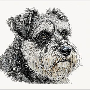 May include: A detailed pen and ink style illustration of a Schnauzer dog's head. The artwork features a black nose, brown eyes, and a mix of black, gray, and white fur. The dog's fur is textured, and the background is plain white.