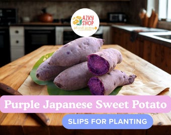 May include: Several purple Japanese sweet potatoes, one cut open to reveal vibrant purple flesh, rest on a wooden surface. The image includes text that reads "Purple Japanese Sweet Potato" and "Slips for Planting."