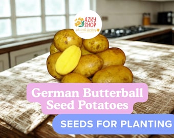 German Butterball Seed Potatoes – 3 Lbs Heirloom Potato Tubers for Planting, Yellow Flesh Garden Potatoes