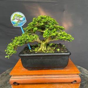 May include: A rustic wooden sign with the text "Welcome to our home" in a handwritten style. The sign is rectangular, with a distressed finish, and features a simple, inviting design. It's suitable for indoor or outdoor use.