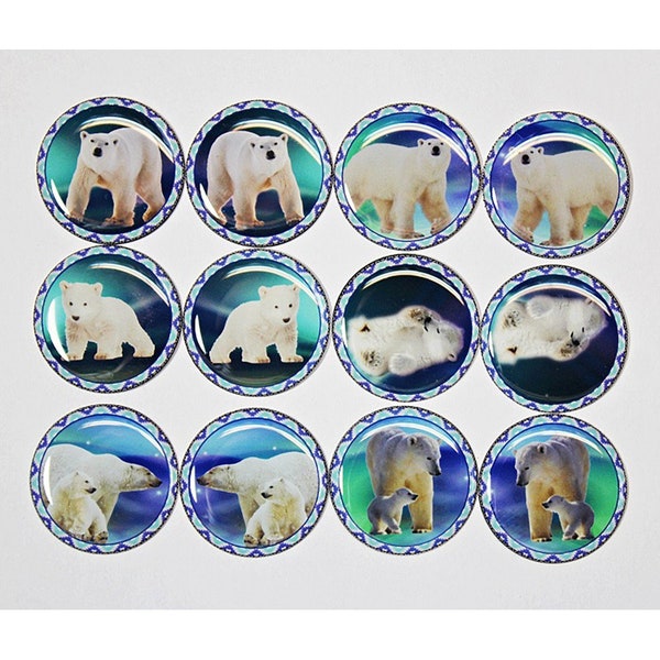 Aurora Polar Bears 1" Round Polyurethane Cabochon Beading Focal Center 12pcs Not Epoxy