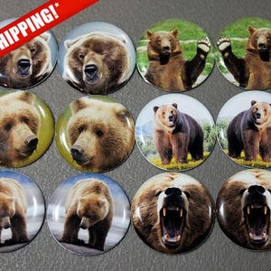 May include: Twelve circular badges displaying images of brown bears. Some badges show the bear's face, others the full body. The badges have a glossy finish and are set against a grey background. The text "FREE SHIPPING!" is visible.