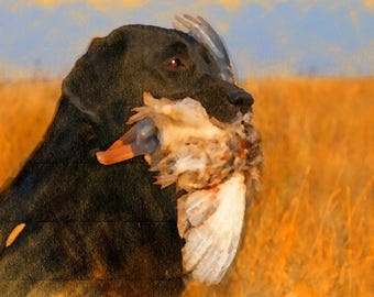 Retrato de un labrador retriever negro cazador de patos – Impresión artística de vida silvestre en pintura al óleo