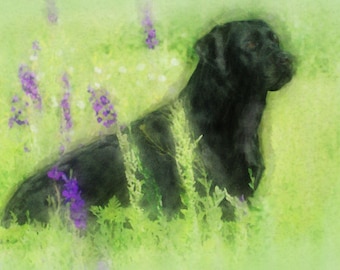 Schwarzer Labrador Retriever im Sommerfeld - Ölgemälde Hundeportrait mit Blumen, Naturkunst
