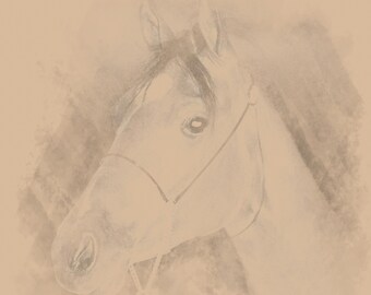 オリジナルの馬の絵。手描きの鉛筆画。馬好きの方へのエレガントな馬の