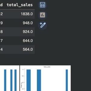 May include: A dark-themed data visualization showing a table with customer IDs and total sales figures. Below the table are three bar graphs representing data distributions. The graphs are blue and white.