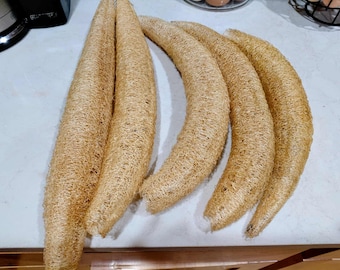 Luffa naturel cultivé sur place (la taille varie)