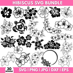 Op de afbeelding: Een verzameling van 30 hibiscus bloem ontwerpen in zwart en wit, inclusief individuele bloemen, clusters en een schildpad silhouet. De tekst "HIBISCUS SVG BUNDLE" staat bovenaan, met bestandstype opties onderaan.
