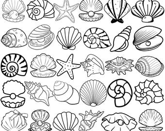 Seashell SVG Bundle, Seashell Clipart, Shell PNG, Beach Svg Files for Cricut, Ocean Sea Shell Silhouette, Summer SVG Set, Digital Download