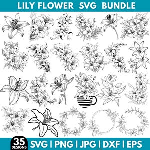 Puede incluir: Paquete SVG de flores de lirio en blanco y negro con 35 diseños. Incluye varios arreglos florales, flores individuales y coronas. Formatos: SVG, PNG, JPG, DXF y EPS. El texto "LILY FLOWER SVG BUNDLE" está en la parte superior.