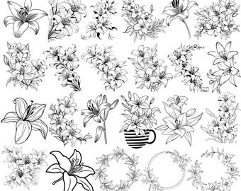 Lily Flowers SVG Bundle, Lily Flowers Png, Botanical Svg, Lilies Bouquet Svg, Floral Line Art Clipart for Cricut, Digital Download