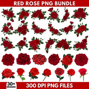 May include: A collection of red rose designs in various arrangements, including bouquets, individual blooms, and floral borders. The image includes the text "RED ROSE PNG BUNDLE", "30+ DESIGNS", and "300 DPI PNG FILES".