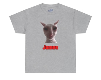 James Meme Cat Funny Graphic Tee, Cotton T-Shirt, Brainrot Shirt, Gift for Teens & Friends, Streetwear T shirt, Brainrot Meme Evil Larry