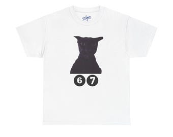 Evil Larry 67 Funny Meme Cat Graphic Unisex Tee, Cotton T-Shirt, Brainrot Shirt, Pet Gift for Teens & Friends, Streetwear T shirt, 67