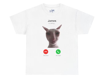 James Is Calling Meme T Shirt, Funny Graphic Tee gift, Street Style, Unique Brainrot GenZ, Evil Larry Cat Instagram Meme, Meme T Shirt