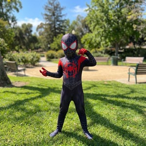 May include: A black and red Spider-Man costume with a full mask, gloves, and foot coverings. The costume features a red spider emblem on the chest and a web pattern design. The person is standing in a park with green grass and trees.
