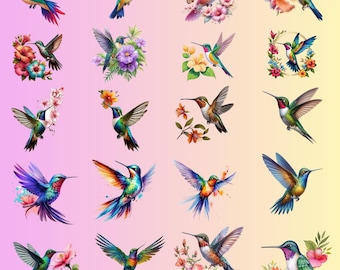 Colorful Hummingbird PNG Bundle, Digital Art (Digital Download)