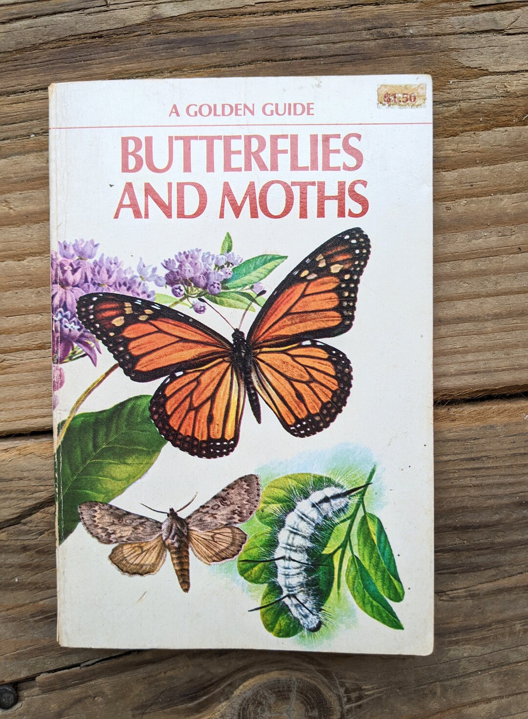 Vintage Butterflies and Moths Golden Guide 1964 Vintage - Etsy